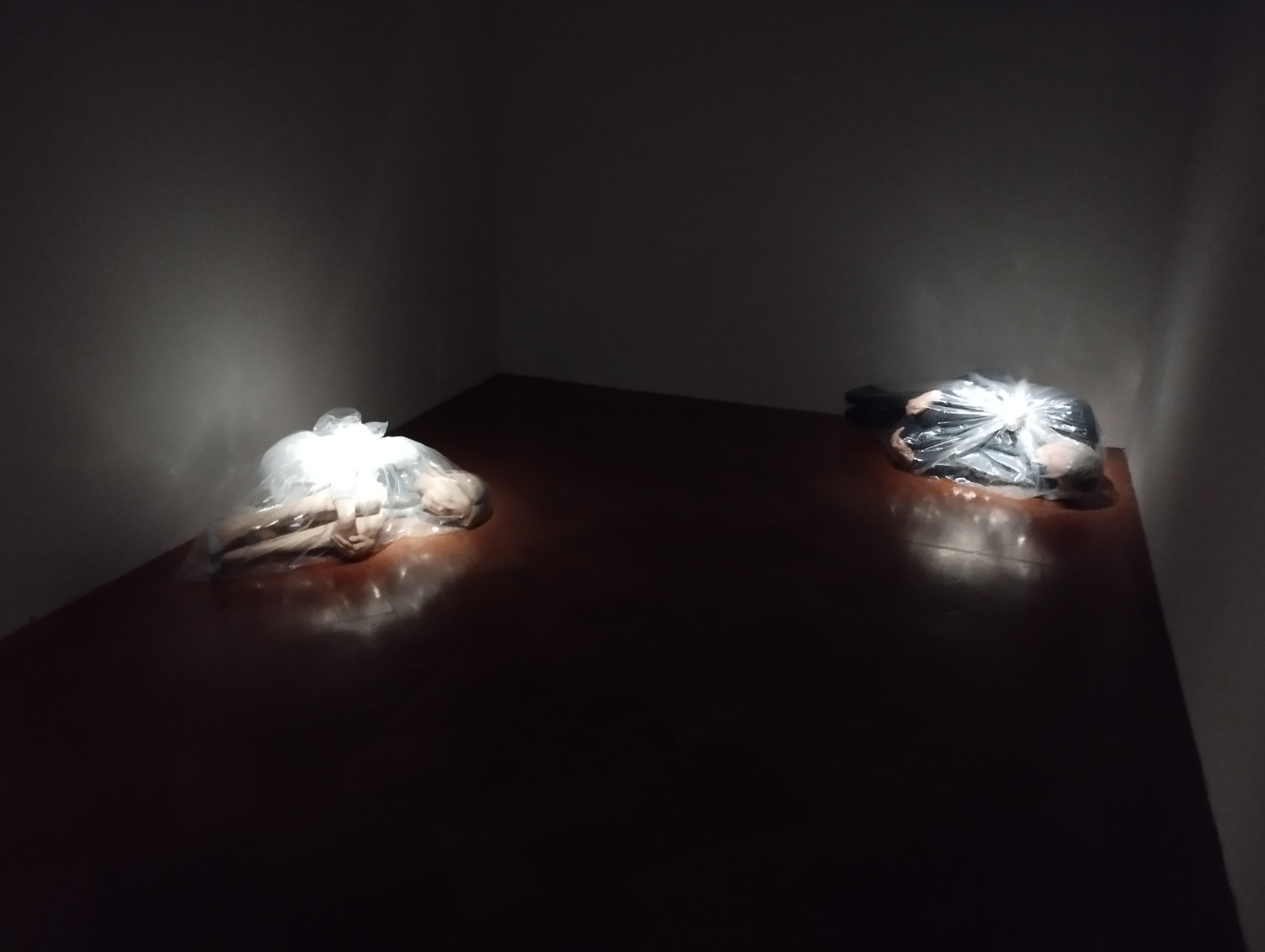 Reaching for the Stars Da Maurizio Cattelan a Lynette Yiadom-Boakye, Palazzo Strozzi, Firenze - ph. Amalia Temperini