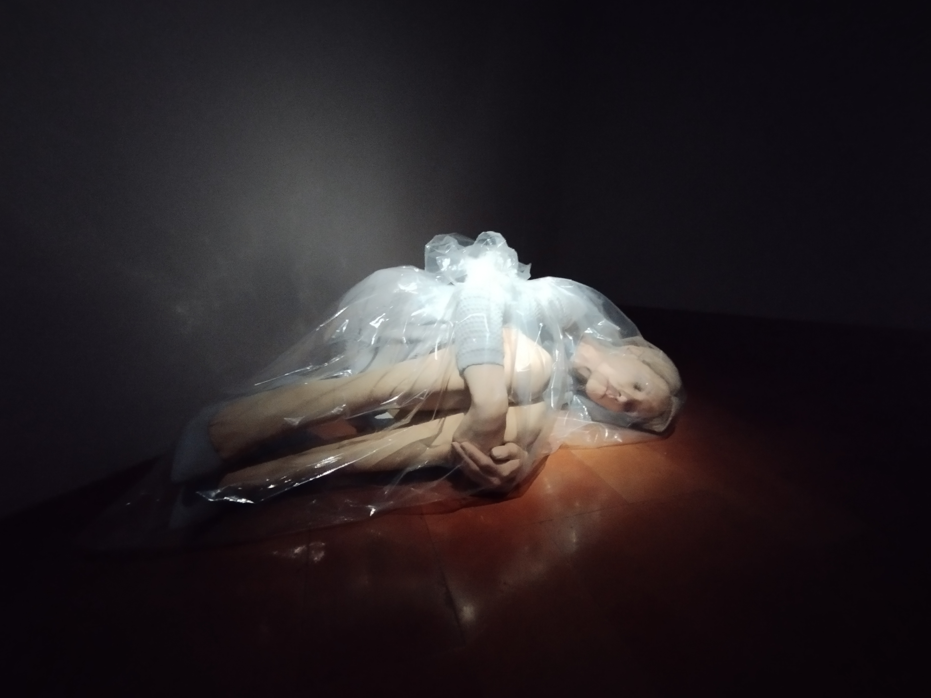 Reaching for the Stars Da Maurizio Cattelan a Lynette Yiadom-Boakye, Palazzo Strozzi, Firenze - ph. Amalia Temperini