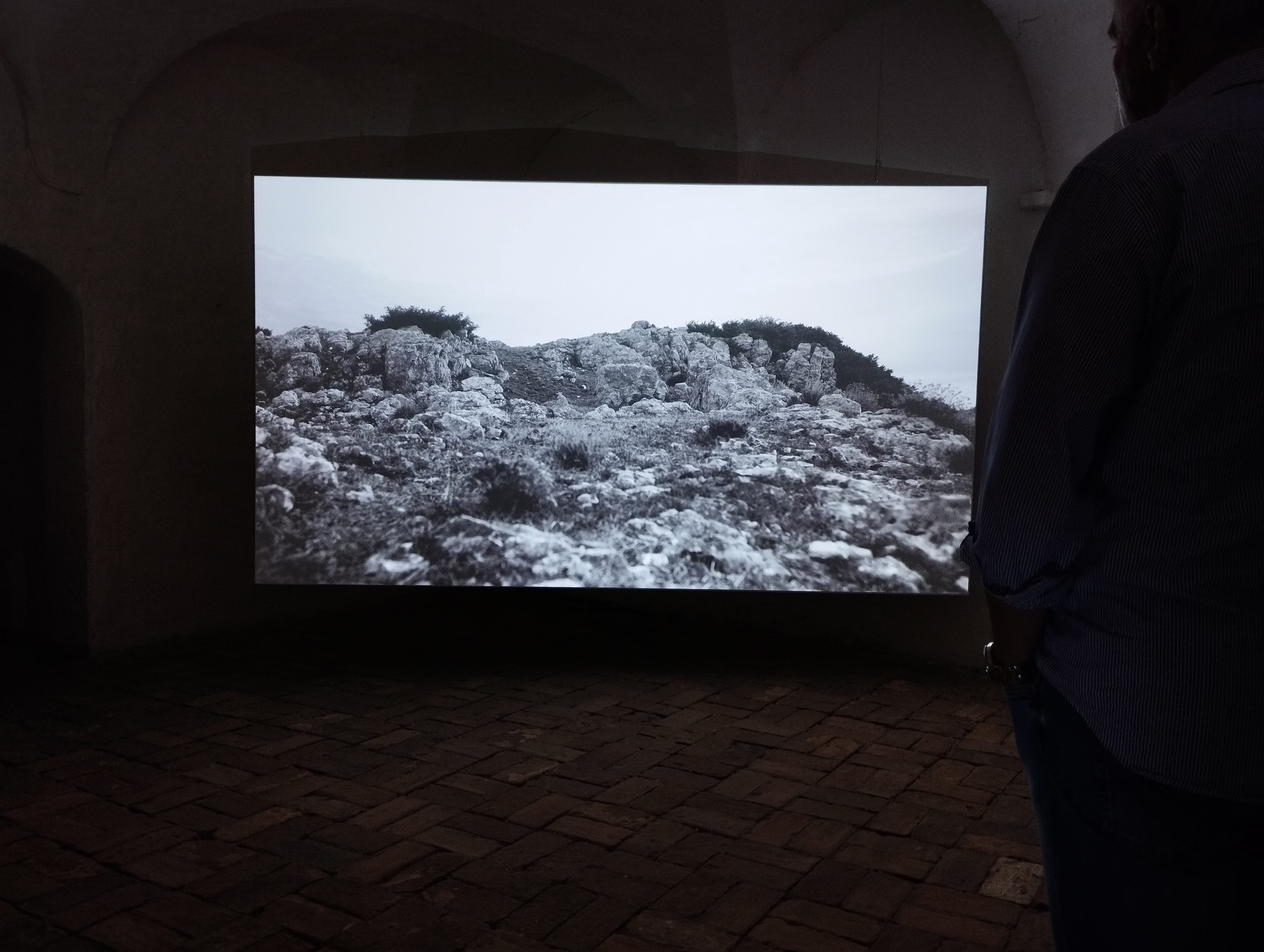 La natura delle cose di Giuseppe Stampone a cura di Enzo De Leonibus -Museolaboratorio, Città Sant'Angelo (PE) - ph. Amalia Temperini