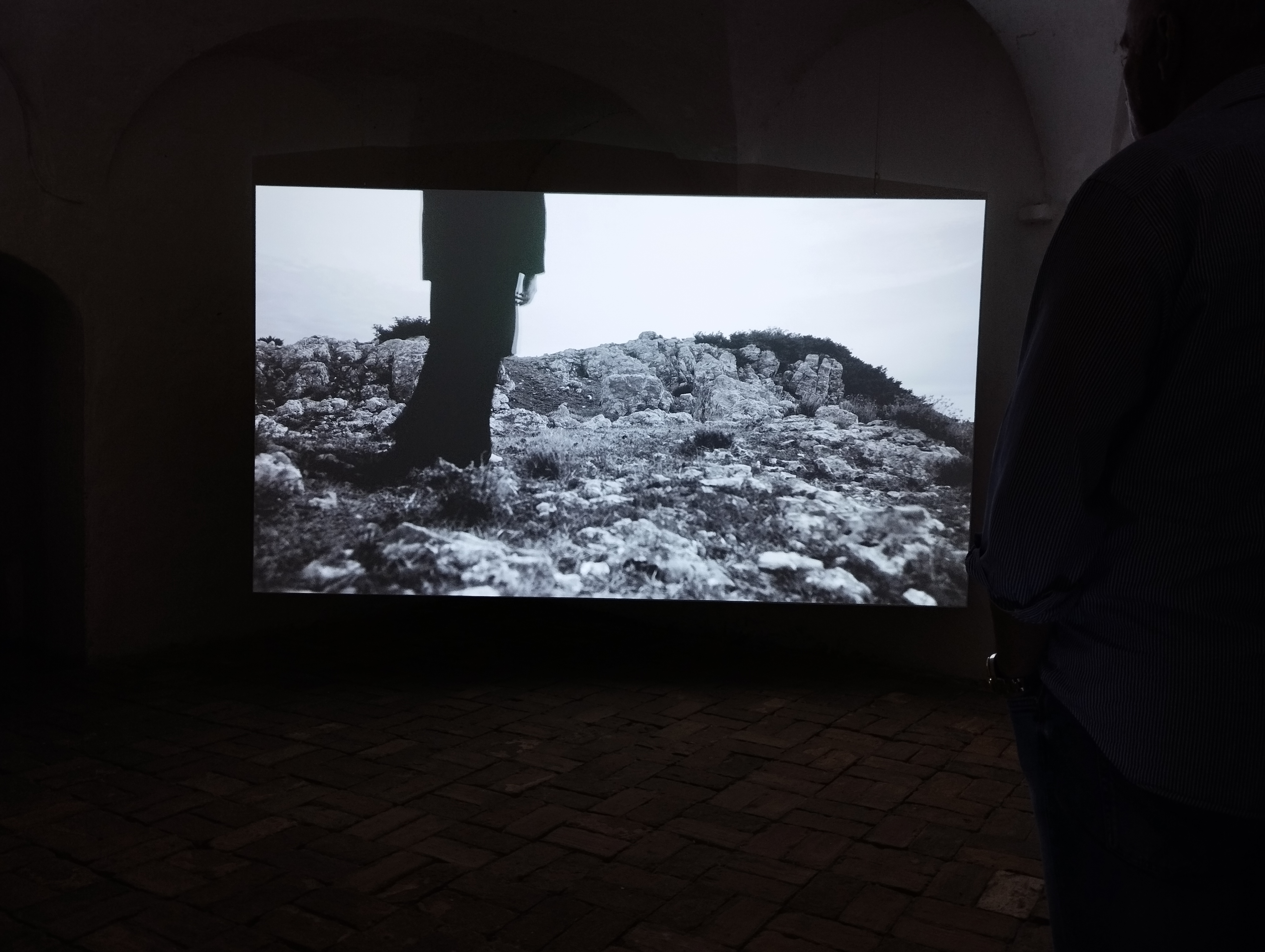 La natura delle cose di Giuseppe Stampone a cura di Enzo De Leonibus -Museolaboratorio, Città Sant'Angelo (PE) - ph. Amalia Temperini