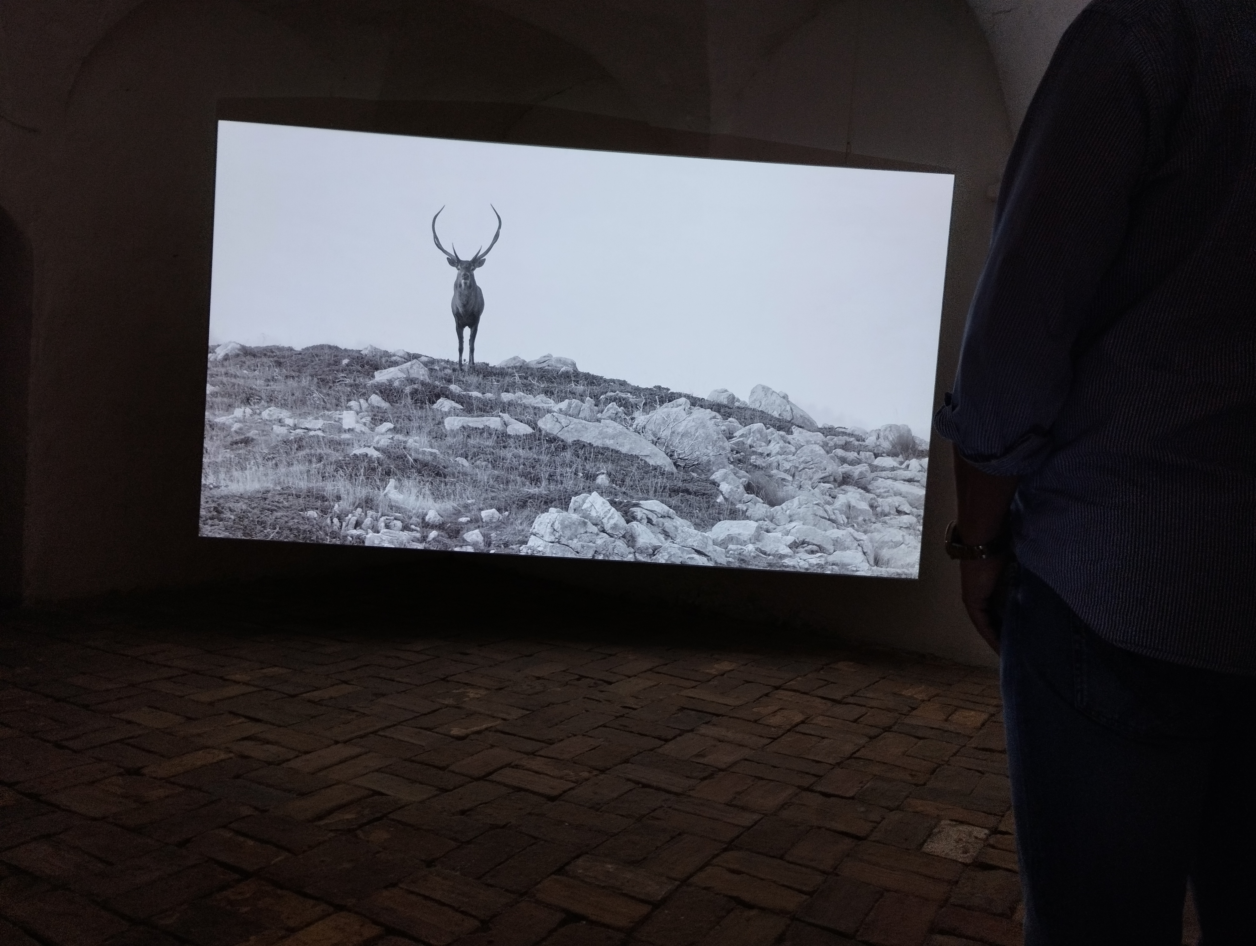 La natura delle cose di Giuseppe Stampone a cura di Enzo De Leonibus -Museolaboratorio, Città Sant'Angelo (PE) - ph. Amalia Temperini