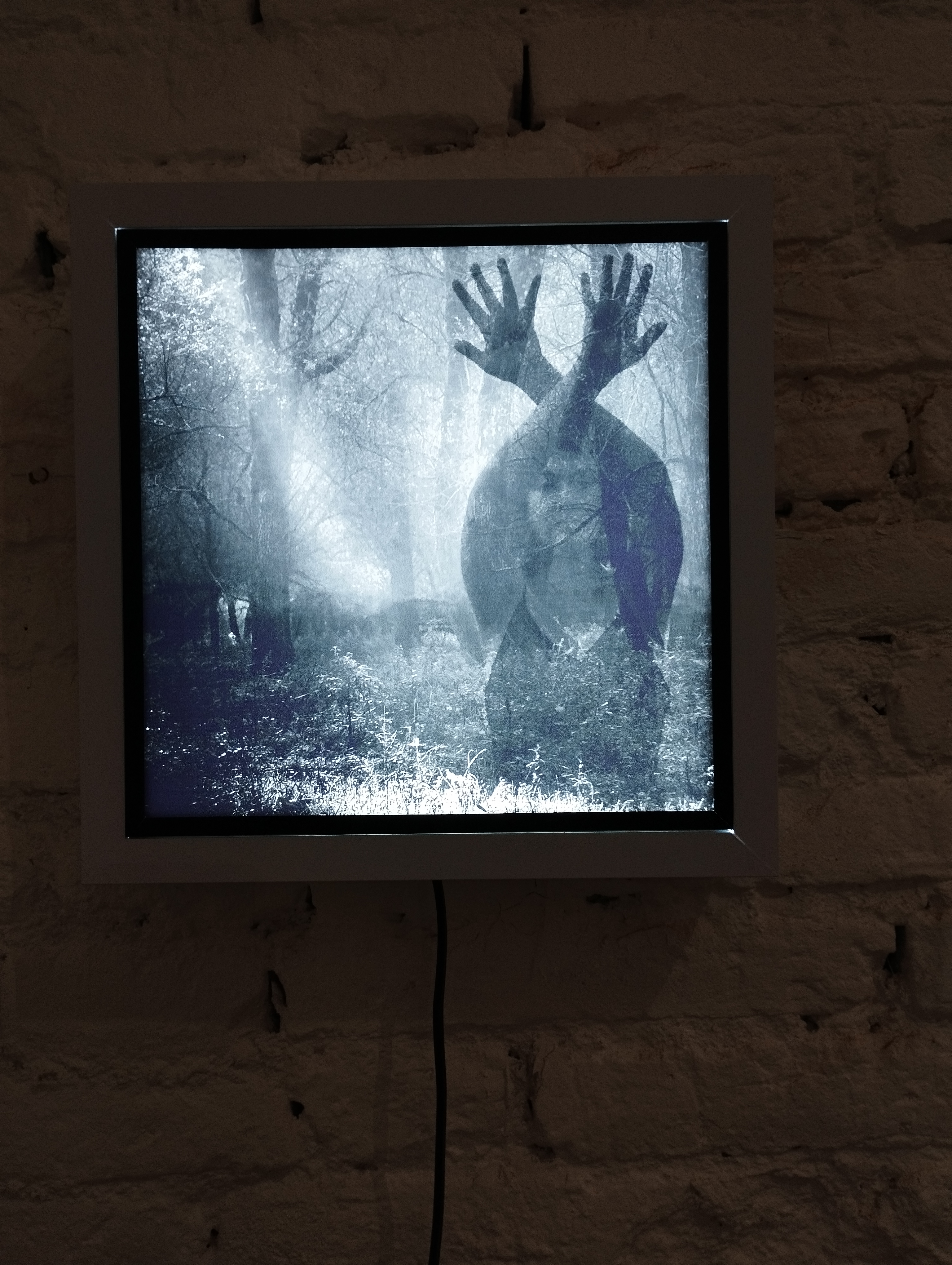 La natura delle cose di Giuseppe Stampone a cura di Enzo De Leonibus -Museolaboratorio, Città Sant'Angelo (PE) - ph. Amalia Temperini