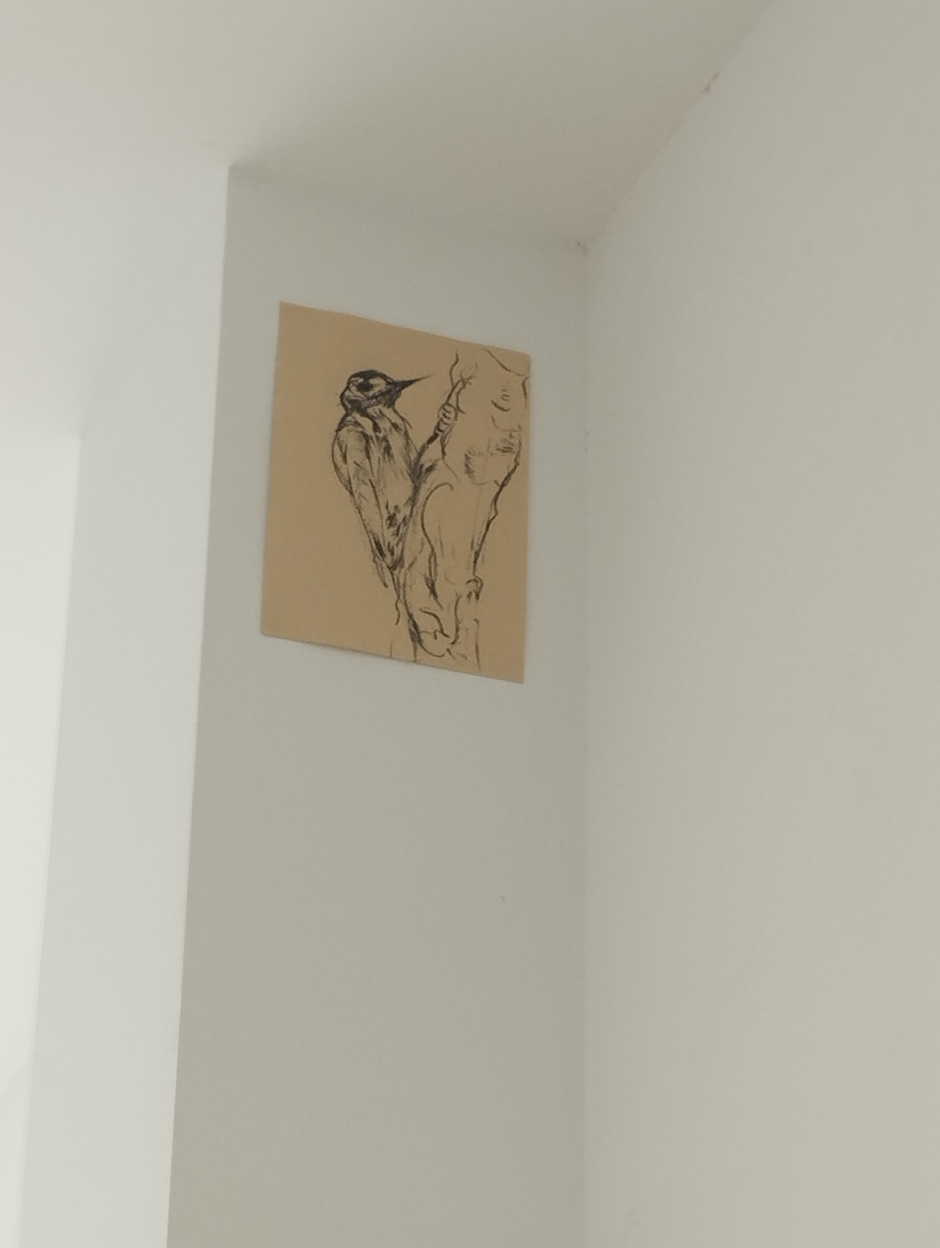 Lorenzo Aceto.Alba Adriatica, testo di Daniele Capra, Spazio Sei (PE) - ph. Amalia Temperini