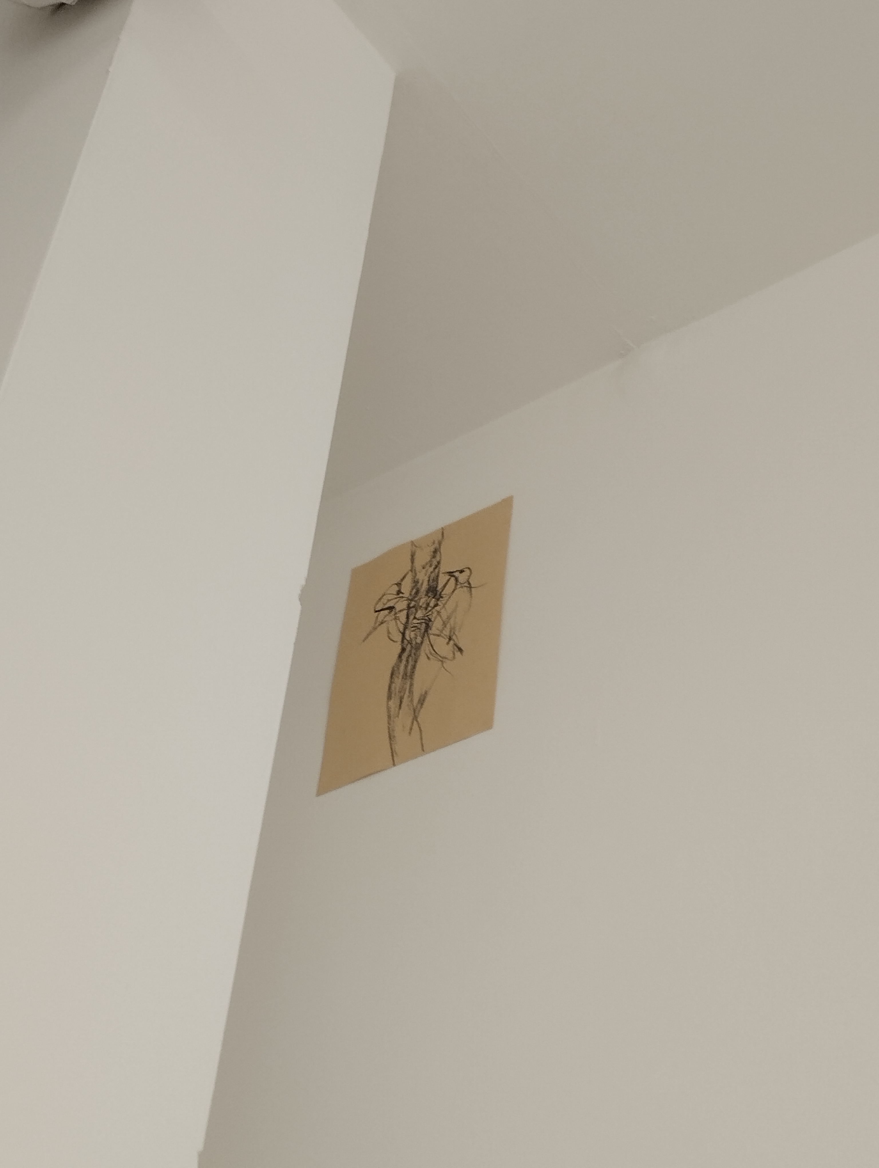 Lorenzo Aceto.Alba Adriatica, testo di Daniele Capra, Spazio Sei (PE) - ph. Amalia Temperini