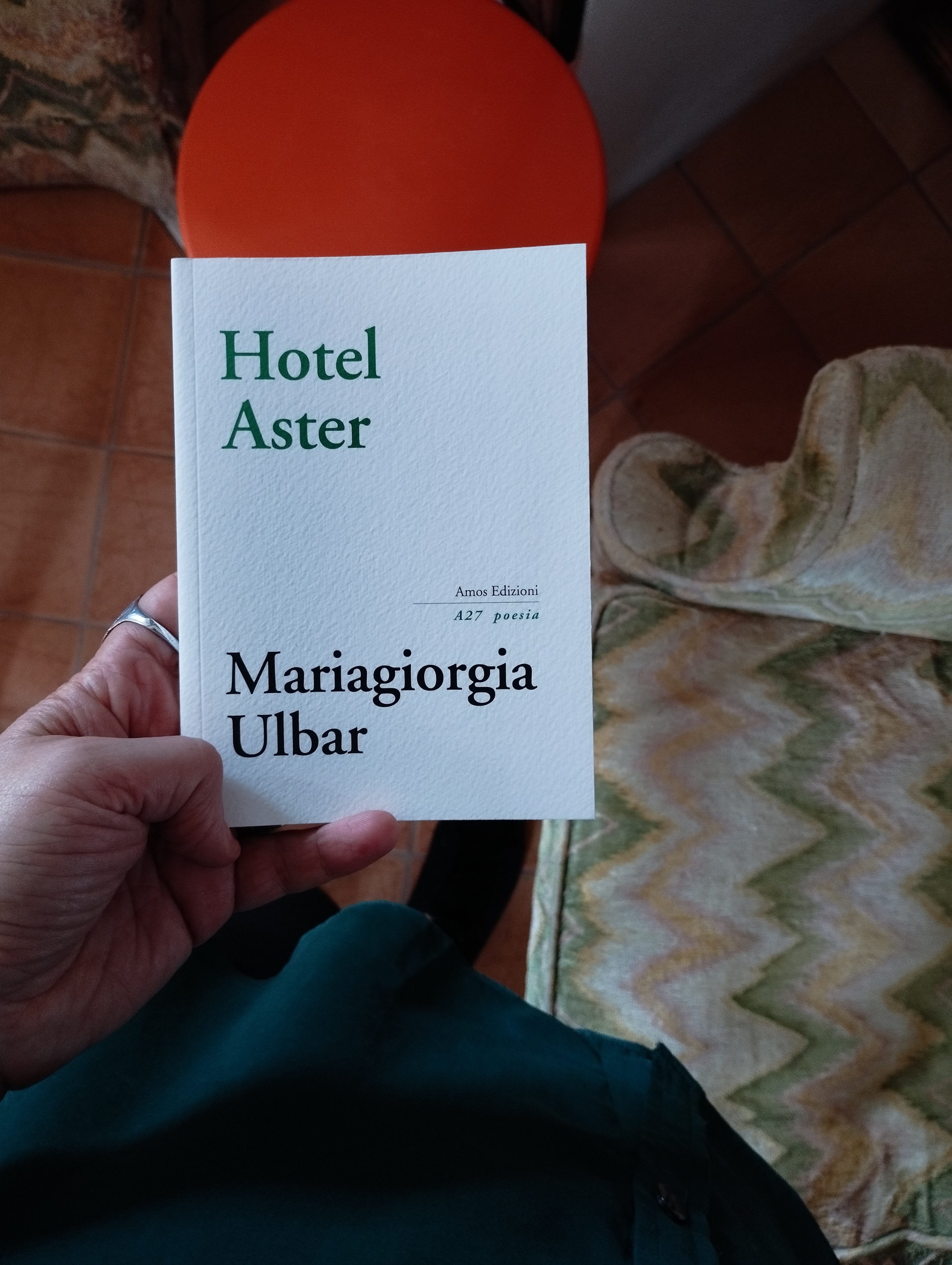Hotel Aster di Mariagiorgia Ulbar Amos Edizioni 2022 ph. Amalia Temperini