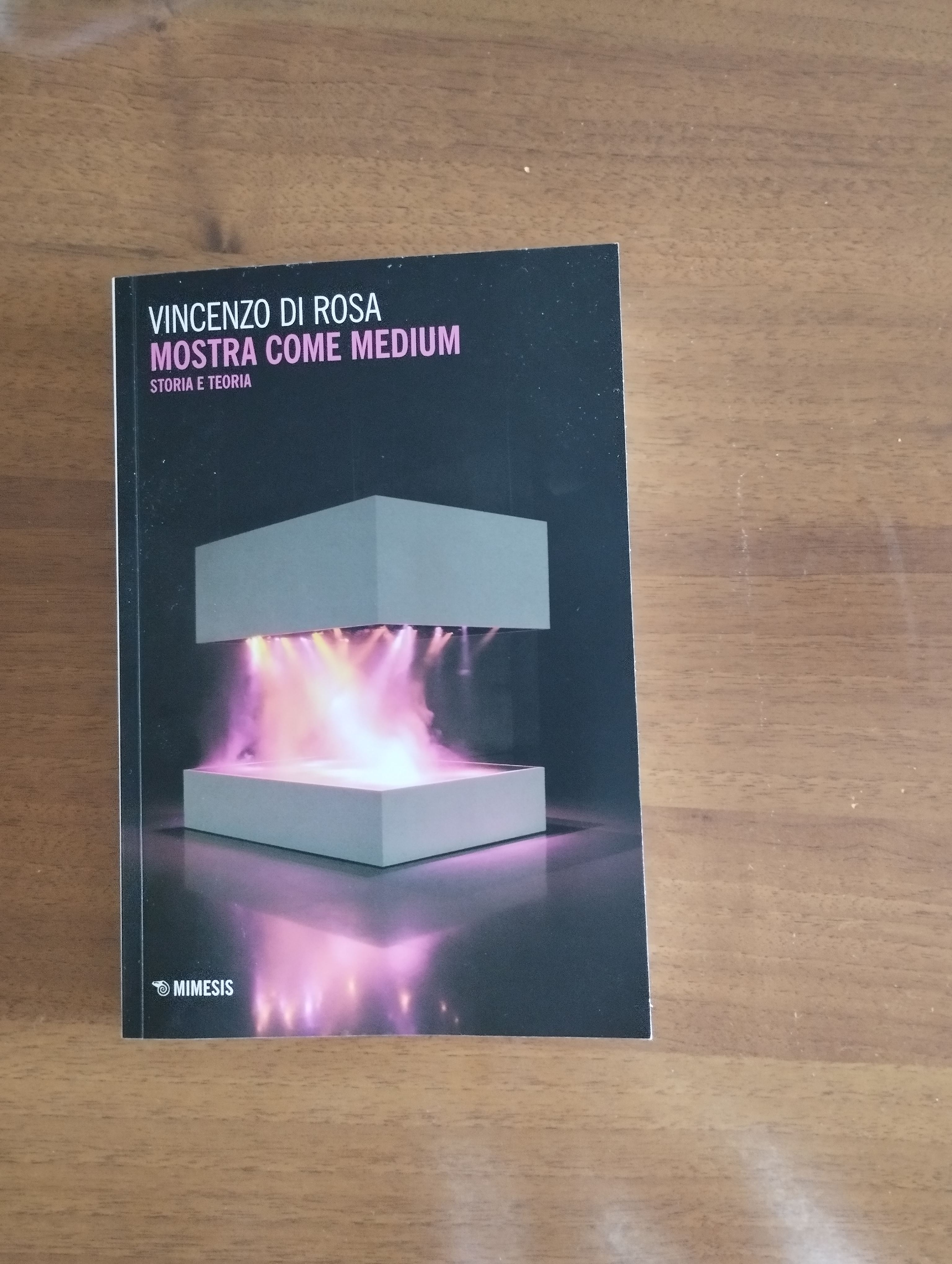 Mostra come medium. Storia e teoria di Vincenzo Di Rosa Mimesis, 2023