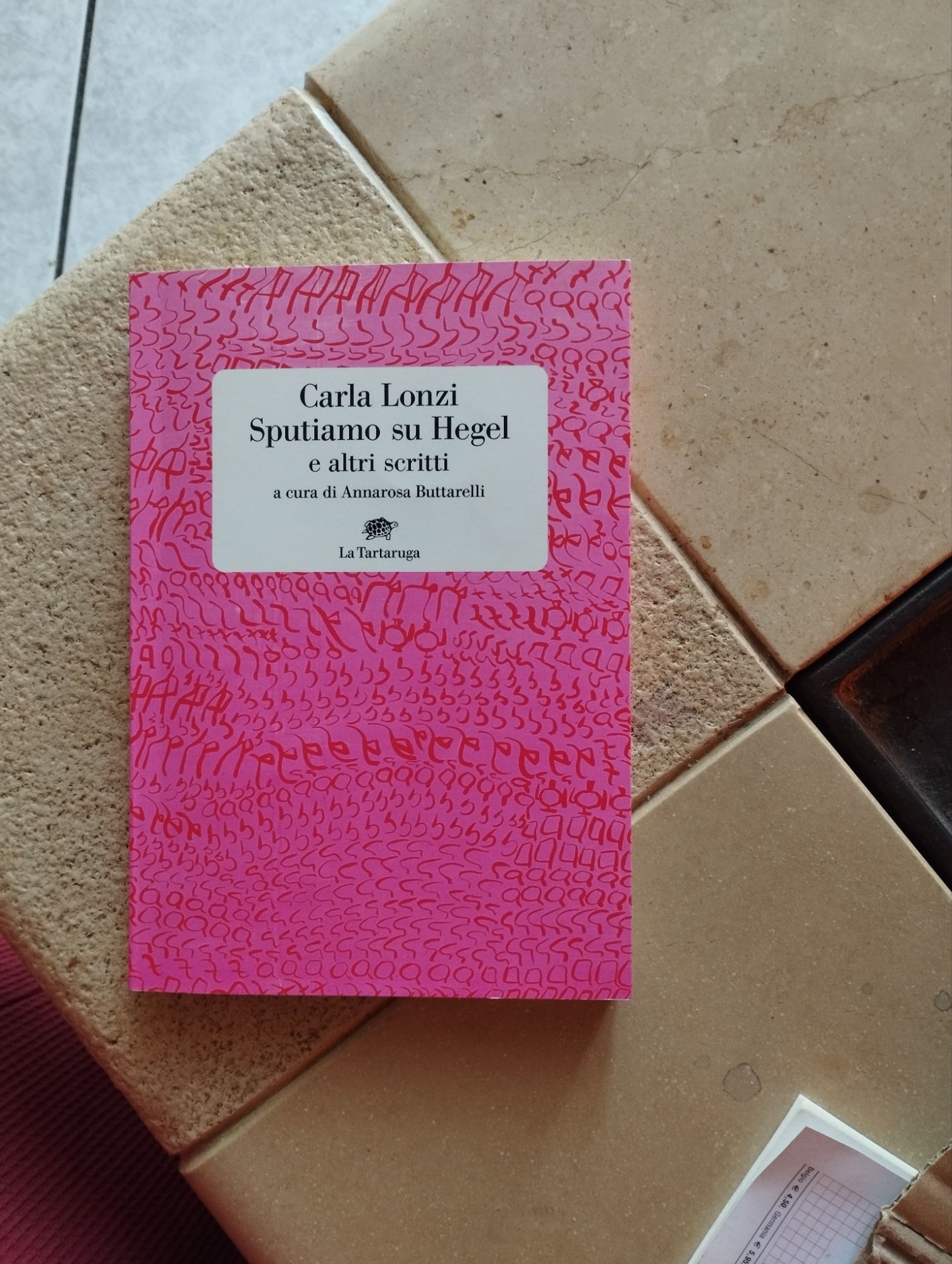 Carla Lonzi. Sputiamo su Hegel e altri scritti a cura di Annarosa Buttarelli (La Tartaruga, 2023), ph. Amalia Temperini