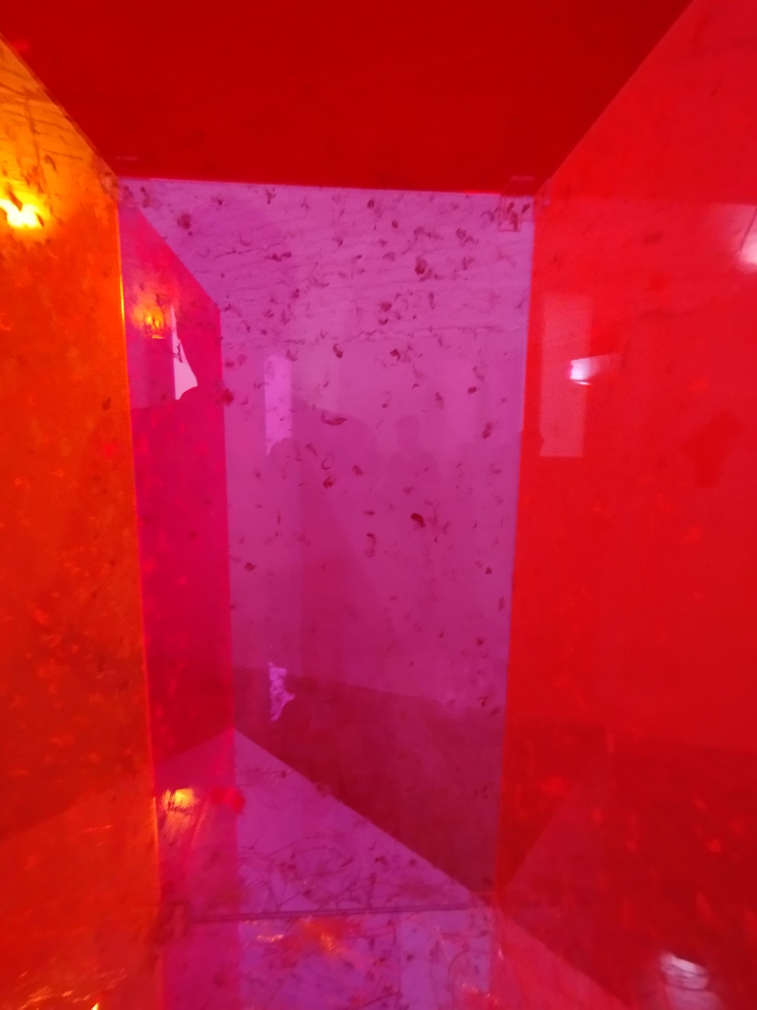 Preview stampa_ Alfredo Pirri, Compagni e Angeli - per Città Sant’Angelo, 2024, courtesy Museolaboratorio - ph. Amalia Temperini