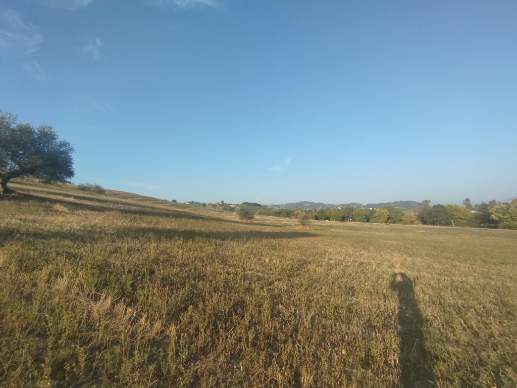 Scuse per la mia assenza&nbsp;temporanea