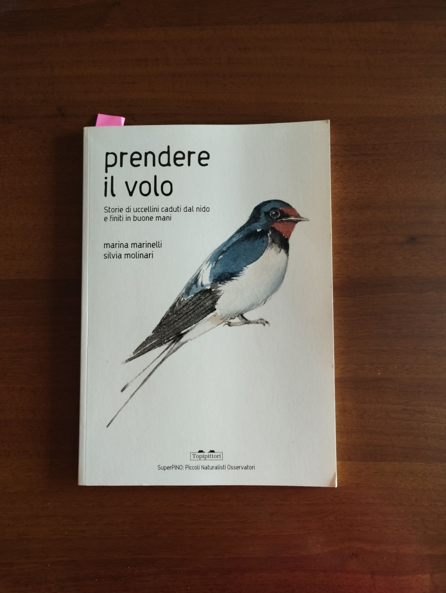 Prendere il volo di Marina MarinelliSilvia Molinari , Topi Pittori 2020, ph. Amalia Temperini 