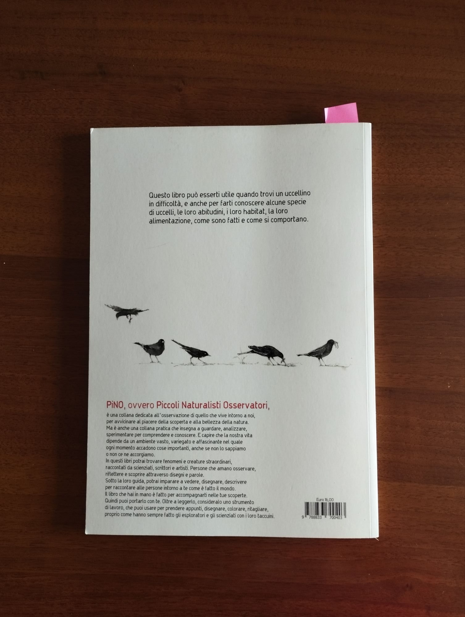 Prendere il volo di Marina MarinelliSilvia Molinari , Topi Pittori 2020, ph. Amalia Temperini 