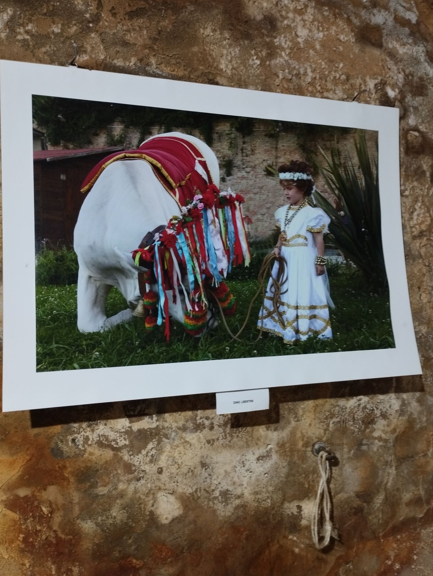 Giornate FAI di Primavera_marzo 25_Loreto Aprutino, Pescara - ph. Amalia Temperini
