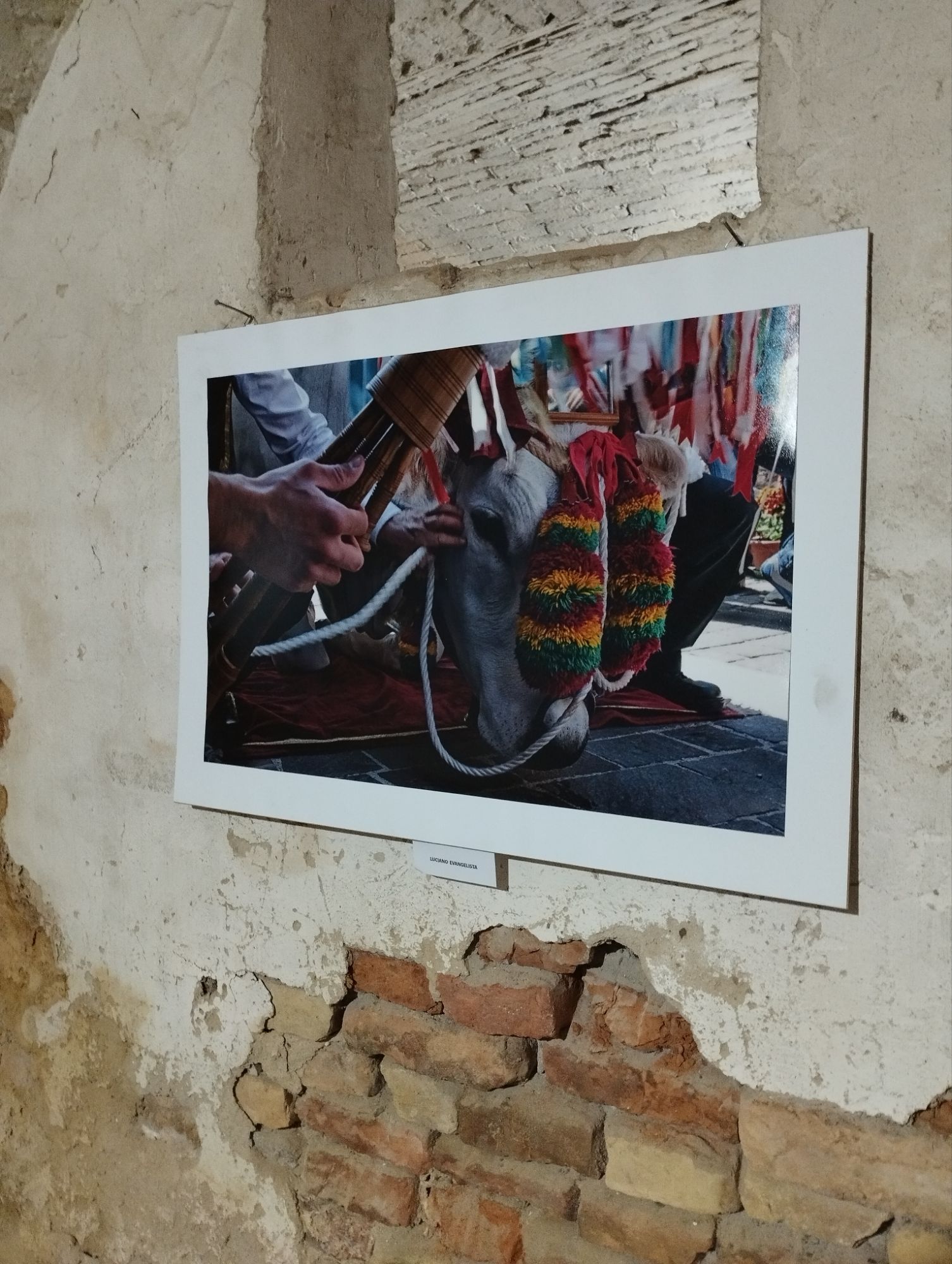 Giornate FAI di Primavera_marzo 25_Loreto Aprutino, Pescara - ph. Amalia Temperini