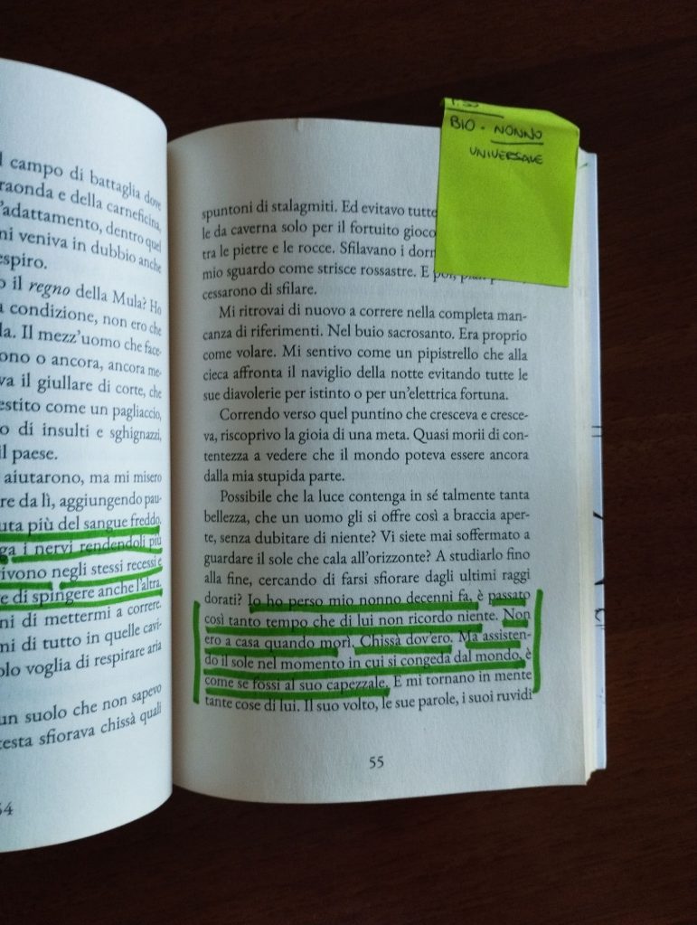 La Mula e un altro racconto, radici edizioni, 2025 - ph. Amalia Temperini
