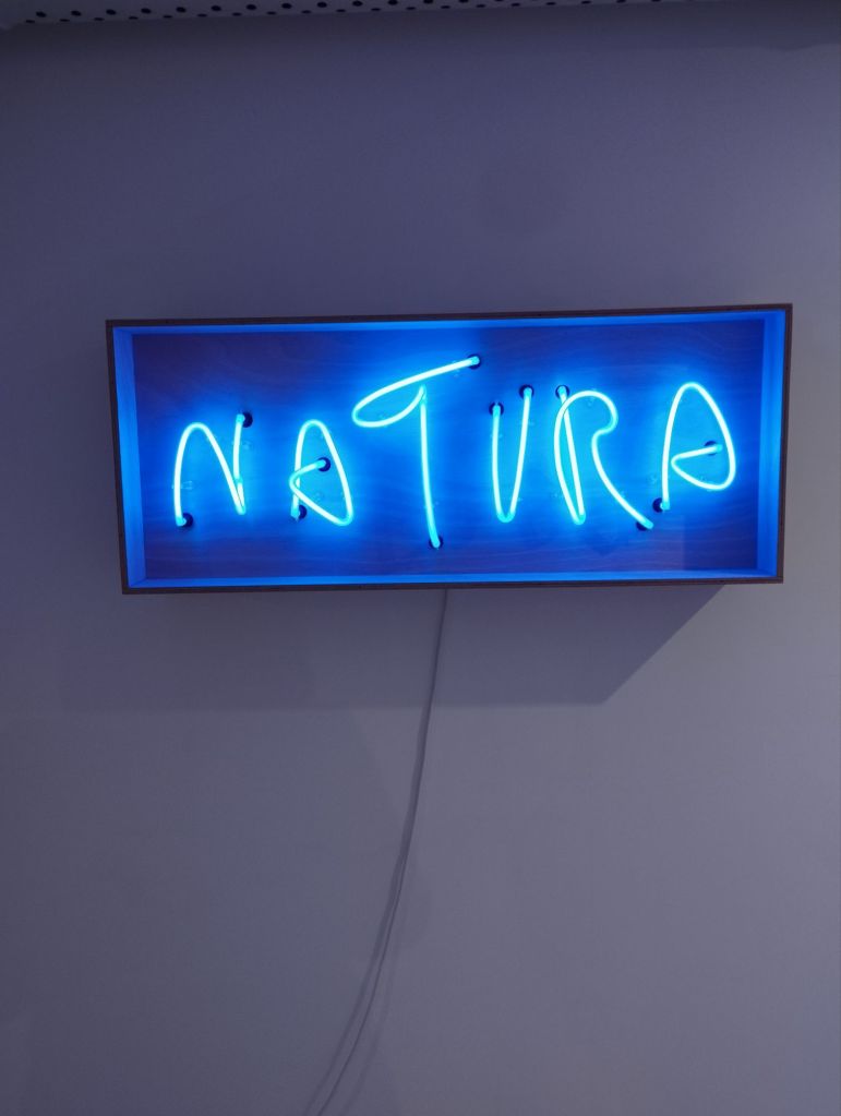 Matteo Fato, Il difficile è dimenticare ciò che si è visto per casa Ritratto di Pescara per caso, a cura di Simone Ciglia, Fondazione La Rocca, Pescara ph. Amalia Temperini